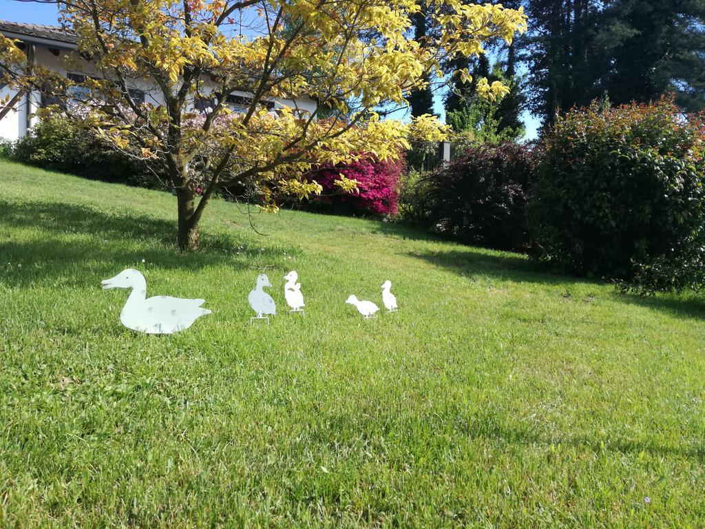 Il Colle Fiorito Bed & Breakfast Oleggio Castello Exterior photo